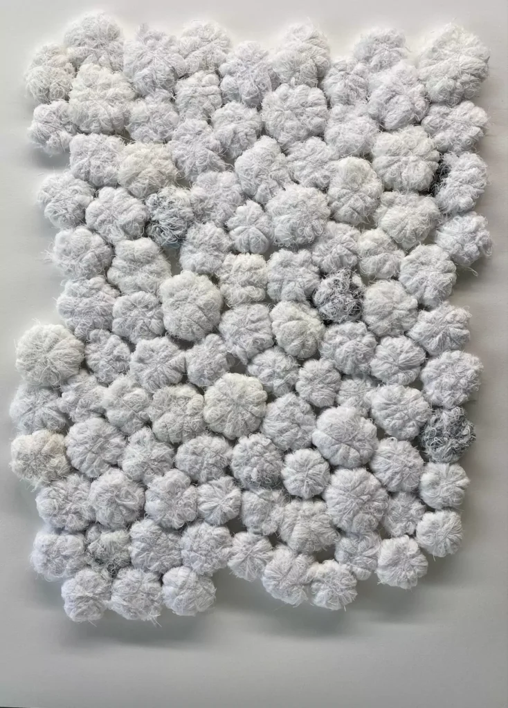 Obra de arte de Francesca Poza: Edelweiss 90 x 80 cm. Hilo de algodón sobre papel 2024