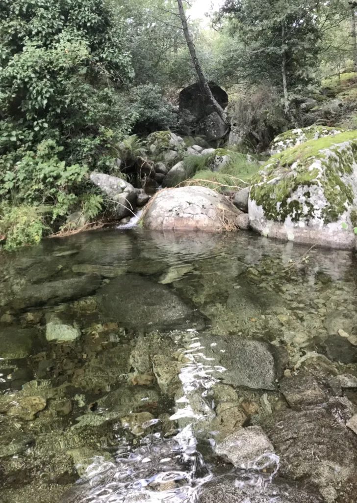 Piedralaves

