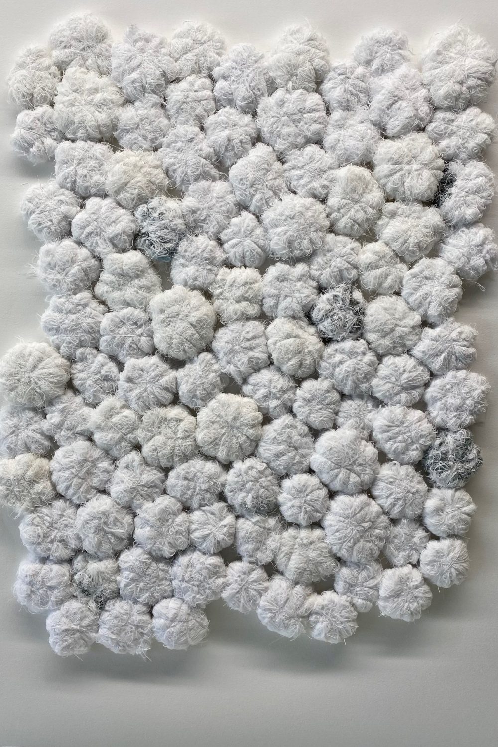Edelweiss